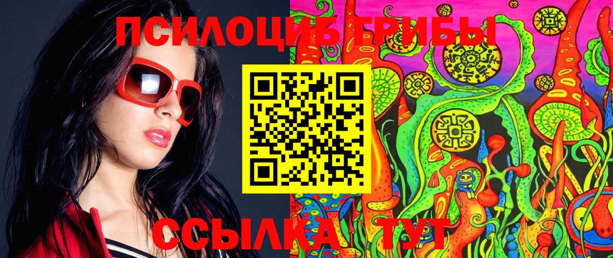 Галлюциногенные грибы Psilocybe  Вход с VPN  Кимовск 