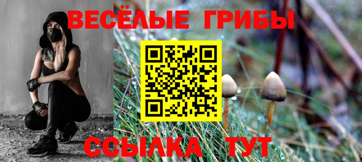 Галлюциногенные грибы Cubensis Кимовск